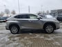 Lexus NX 300h AWD 25th Edition | Open dak | Trekhaak | Navigatie |