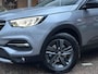 Opel Grandland X 1.2 Turbo Business Edition Trekhaak/Winterpaket/All season.