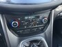 Ford Grand C-Max 1.0 125pk 7-Persoons Tit. Navi, Carplay, Trekhaak, 1e Eigenaar