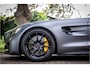 Mercedes-Benz AMG-GT 4.0 GTR Full Carbon | Burmester High End | Track Pace | BTW