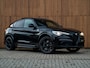 Alfa Romeo Stelvio 2.9 V6 AWD Quadrifoglio | Pano-dak | 21 inch | Harman/Kardon | Adapt. cruise