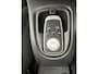 Renault Kangoo Family 1.6i-16V Navigatie-Cr.contr-Clima-Trekhaak-Lm 16"velgen