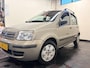 Fiat Panda 1.2 Edizione Cool