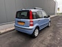 Fiat Panda 1.2 Edizione Cool