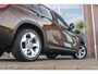 BMW X1 E84 xDrive28i Executive | Automaat | 2e eigenaar | 258 pk | Xenon | Leer | Navi | Sportstuur | Stoelverwarming | Cruise control | Climate control | Trekhaak | Bluetooth
