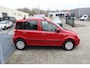 Fiat Panda 1.2 Edizione Cool LAGE STAND Airco