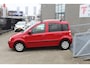 Fiat Panda 1.2 Edizione Cool LAGE STAND Airco