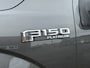 Ford F-150 USA 3.5 V6 Ecoboost SuperCrew Platinum I Aut. I LPG I Leder I Pano.dak