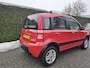 Fiat Panda 1.2 Professional 4x4