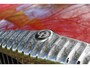Daimler Double Six Jaguar 5.3 V12 | Jaguar Classic Radio | € 425 per maand*