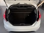 Ford Fiesta 1.0 EcoBoost Titanium |Zeer nette staat|