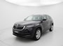 Skoda Kodiaq 1.4 TSI ACT AMB. BNS, Xenon, Navi, Leder