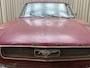 Ford Mustang USA Fastback / 1966 / 3-Speed Manual / 3,3 Liter 200 Cu 6-cilinder / / Project