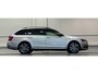 Skoda Octavia Combi 1.0 TSI Greentech Ambition Business 17" LM Navi DAB Mooi!