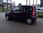 Fiat Panda 1.2