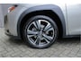 Lexus UX 250h Executive Line |President Pack|trekhaak|pano|leder|dealer onderhouden|