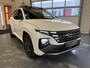 Hyundai Tucson 1.6 T-GDI HEV N Line Sky 1 Jaar Bovag Garantie