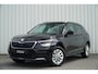 Skoda Kamiq 1.0 TSI 115pk Business Edition | Trekhaak | Smartlink | Stoelverwarming | Camera