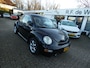 Volkswagen Beetle 2D