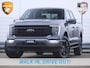 Dodge Ram 1500 | FORD F-150 | GMC | Grote voorraad BPM - VRIJ | Sinds 1988 dé specialist in Amerikaanse pick-ups Kom langs en maak een Proefrit in onze pick-up trucks! Walk in,drive out! Getoonde accessoires zijn verkrijgbaar tegen meerprijs