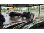 Volkswagen Tiguan 1.4 TSI eHybrid R-Line Business+ | SOH 95.7% Panoramadak