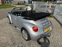 Volkswagen Beetle New Cabriolet 1.6 Turijn Comfort! Leer l Elek cabriokap l Airco l Elek pakket l LMV l Afneem trekhaak l TOPSTAAT