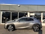 Lexus UX 250h AWD Executive Line LEDER,CARPLAY,ADAPTIVE CRUISE