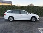Skoda Octavia Combi 1.0 TSI Business Edition | Airco | Cruise Control | LMV | Trekhaak | APK tot 07-05-2027!