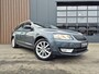 Skoda Octavia Combi 1.4 TSI Greentech Ambition Businessline DSG Automaat | Clima | Cruise | Navi | DAB | Stoelverw.
