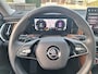 Skoda Kodiaq 1.5 TSI MHEV Business Edition 7 - pers / Lederen bedkleding