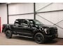 Ford F-150 USA F-150 V6 EcoBoost PLATINUM