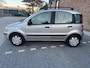 Fiat Panda 1.2 Class