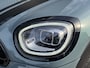 MINI Countryman 2.0 Cooper S ALL4 Pano/Leder/H&K/Trek/Camera