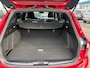 Ford Focus Wagon 1.5 EcoBoost 182pk ST-Line, afneembare trekhaak