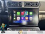 Citroën C3 1.2 PureTech C-Series GARANTIE/CARPLAY/CLIMA/CRUISE/LICHTMETAAL/PDC rijklaarprijs!