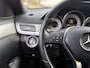 Mercedes-Benz E-klasse 220 BlueTEC AMG AUT. CRUISE NAVI FACELIFT