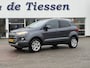 Ford EcoSport 1.0 EcoBoost Titanium Camera, Navi, Stoelvrw., Rijklaar met beurt & garantie!