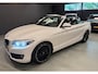 BMW 2-Serie Cabrio 218i Executive AUTOMAAT/CRUISE/PDC/ECC/LED/STOELVERW/CAMERA///