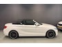 BMW 2-Serie Cabrio 218i Executive AUTOMAAT/CRUISE/PDC/ECC/LED/STOELVERW/CAMERA///
