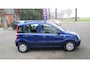 Fiat Panda 1.2 Edizione Cool