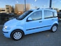 Fiat Panda 1.2 Edizione Cool
