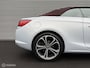 Opel Cascada 1.6 Turbo Cosmo | Camera | Clima | Leder | Navi | Trekhaak | 20 inch | Bomvol opties!
