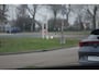 Volvo XC60 2.0 Recharge T6 340 PK AWD Business Pro PHEV, Luchtvering, Trekhaak, H/K Sound, Panoramadak, 360 Camera