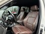 BMW X3 sDrive20i High Exe,SportLeer,Xenon,Elekt Trekhk,NaviPro,Dealer OH,Stoelverw