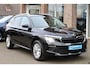Skoda Kamiq 1.0 TSI Selection STOEL/STUURVERW. CAMERA ACC CARPLAY DAB CRUISE CLIMA LANE-ASSIST 2XPDC LMV