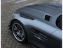 Mercedes-Benz AMG-GT 4.0 R Pro | Selenit - Camera