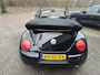Volkswagen Beetle New Cabriolet 2.0 | INRUILKOOPJE | NW APK | GEINIGE CABRIO VOOR WEINIG | NW DAK |