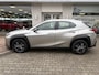 Lexus UX 250h Luxury Line | Leder | Sensoren v/a | 17'' LM Velgen | Andro
