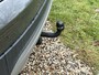 Ford Kuga 1.6 Titanium, Trekhaak *Distributie+Banden+Remmen*