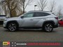 Hyundai Tucson 1.6 T-GDi HEV 230pk Premium Sky | Shimmering Silver | Panoramadak |